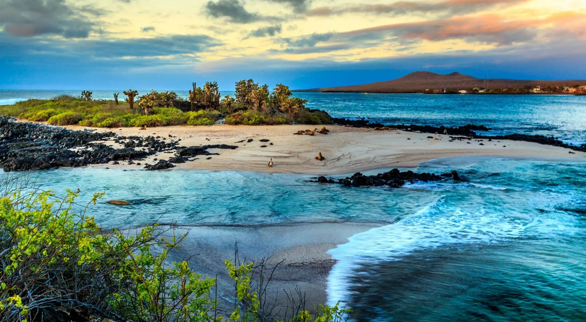 view of volcanic island with sand and water
