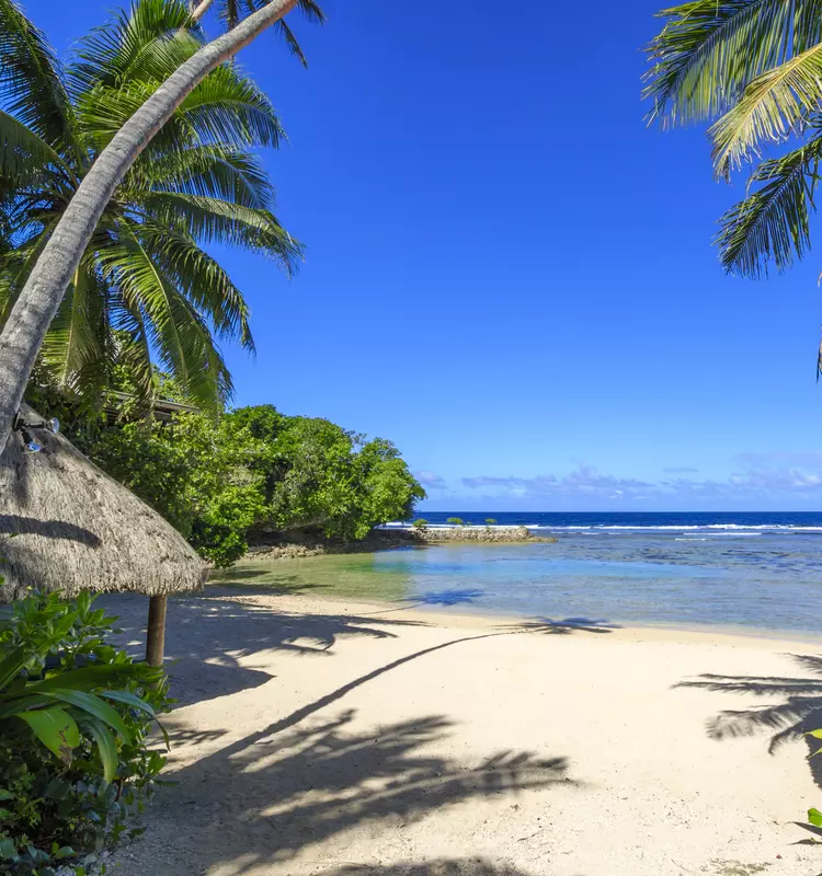 Idyllic beach view, white sand, surrounded by green palms and a clear blue sky.