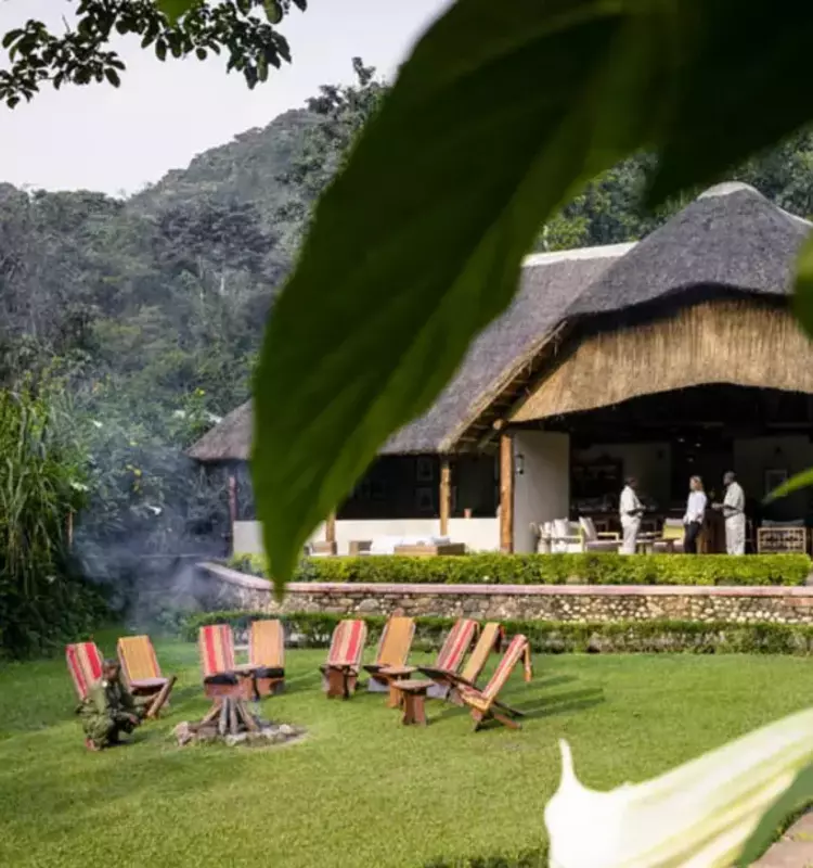 Outdoor lodge with a thatched roof, surrounded by trees and greenery, featuring arranged campfire chairs in the foreground.