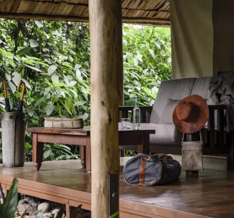 A cozy porch with wooden furniture, a travel bag, umbrellas, and a hat overlooks lush tropical greenery.