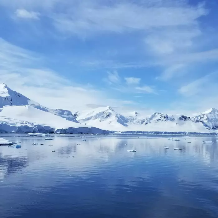 Arctic