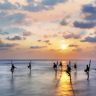 Fishermen on stilts in silhouette at the sunset in Galle, Sri Lanka