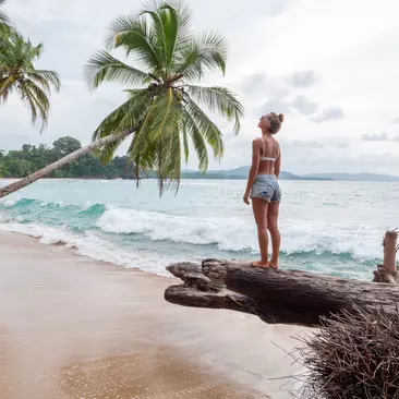 Young woman standing on tree trunk on tropical beach