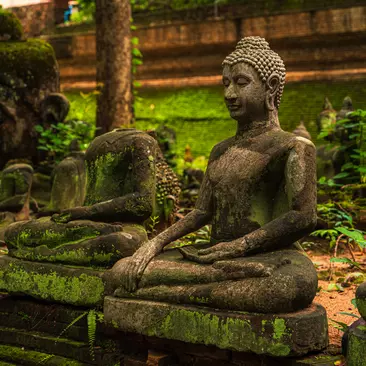 Ancient buddha figures Wat Umong Suan Puthatham is a Buddhist temple in the historic centre and is a Buddhist temple is a major tourist attraction with green forest nature