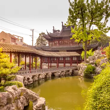 The traditional buildings and curated plants of Yu Gardens in Shanghai, China