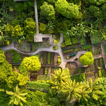 Soneva Fushi Gardens