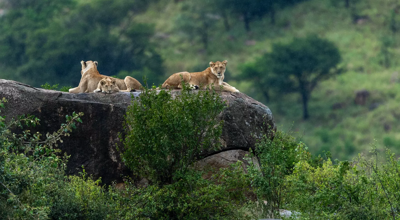 Serengeti National Park