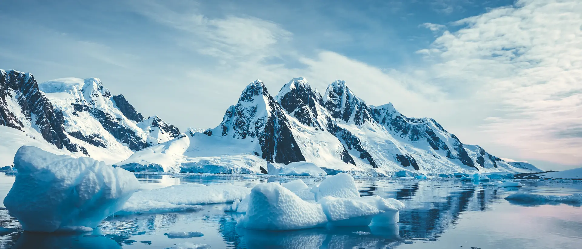 Arctic & Antarctica