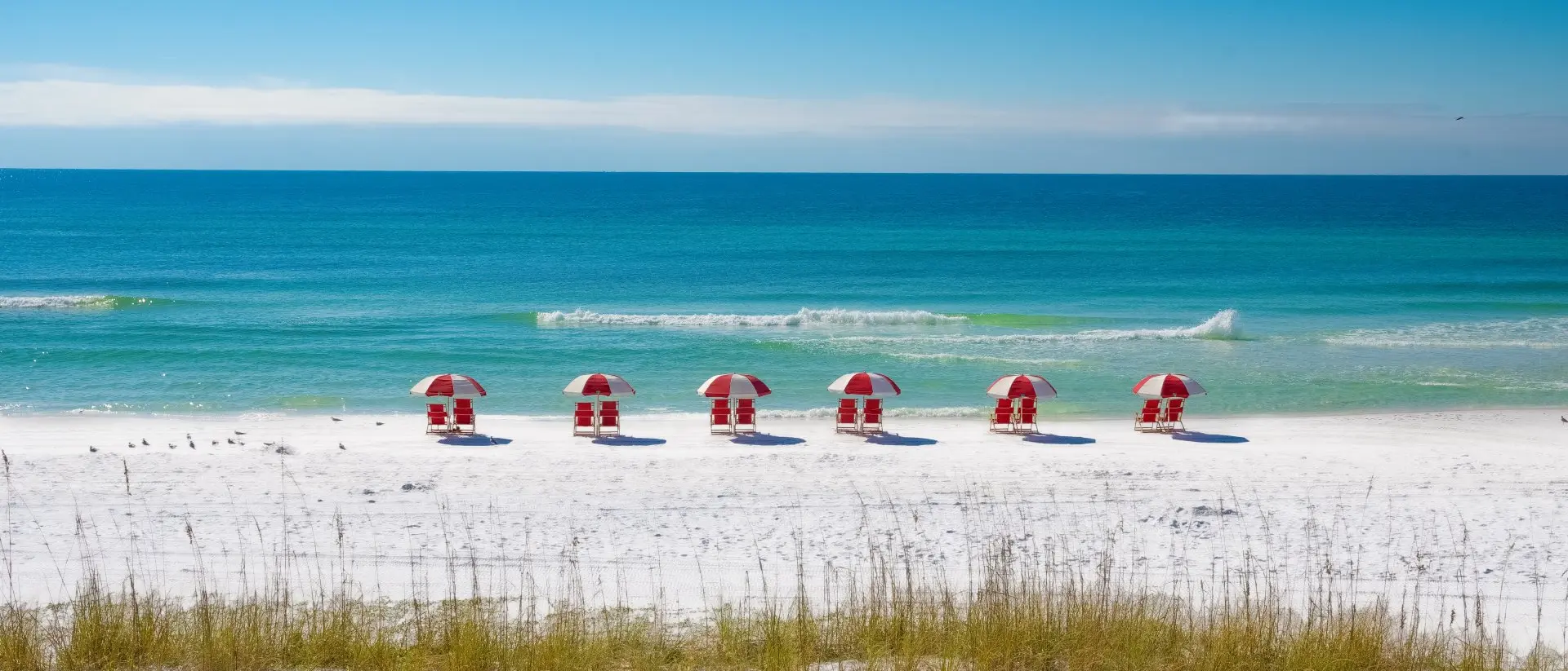 A row of chairs and umbrellas on a white sand beach.