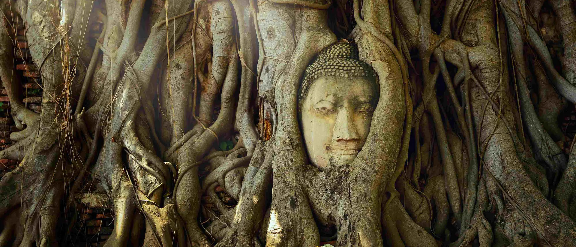 Mahathat Temple Sand stone buddha head in tree roots at Mahathat Temple, Ayutthaya, Thailand