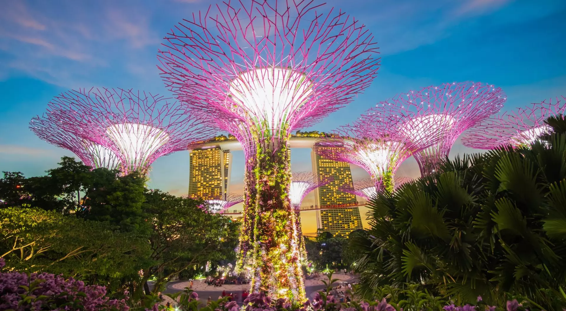 Lit up large vertical garden sculptures resembling towering trees, coined Supertree Grove