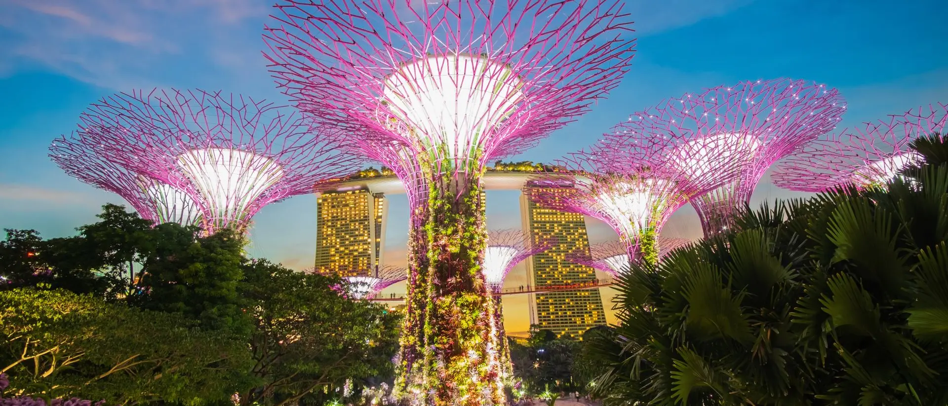 Lit up large vertical garden sculptures resembling towering trees, coined Supertree Grove