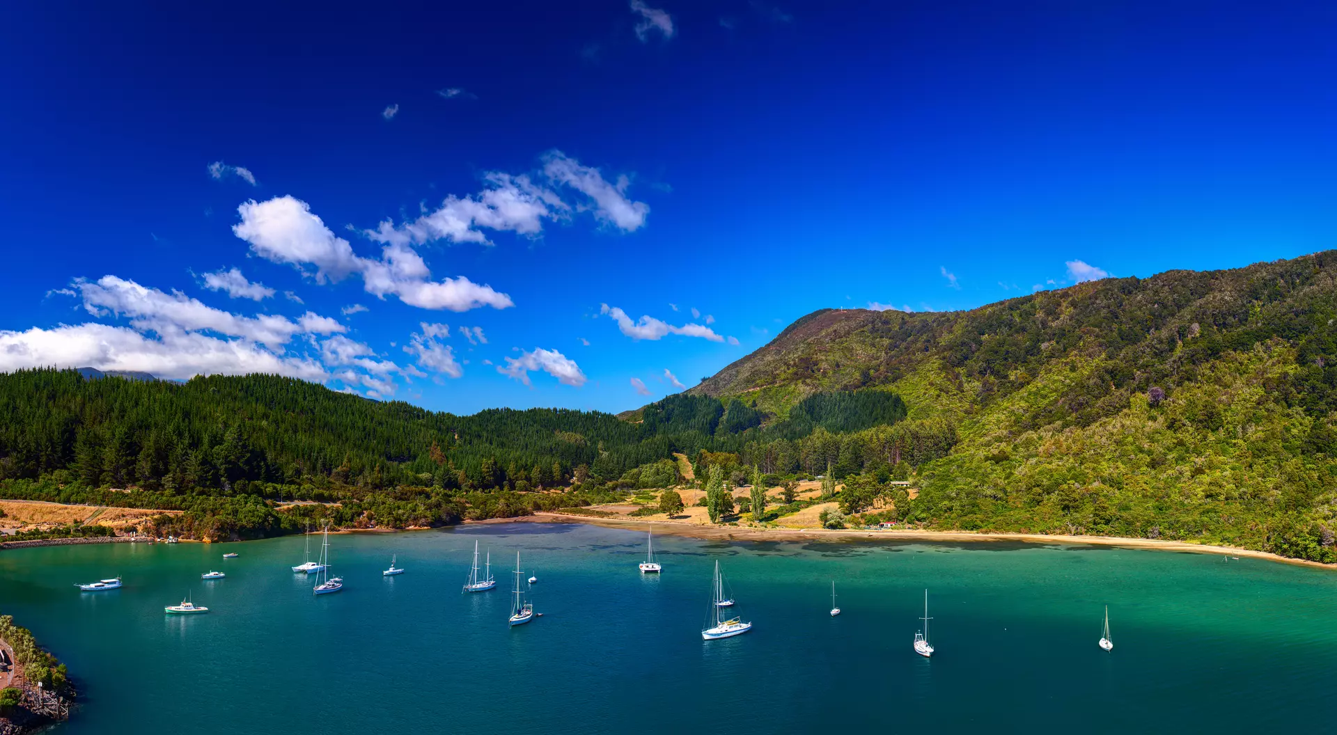 Whatamango Bay Whatamango Bay. Vicinity of Picton town, New Zealand.
