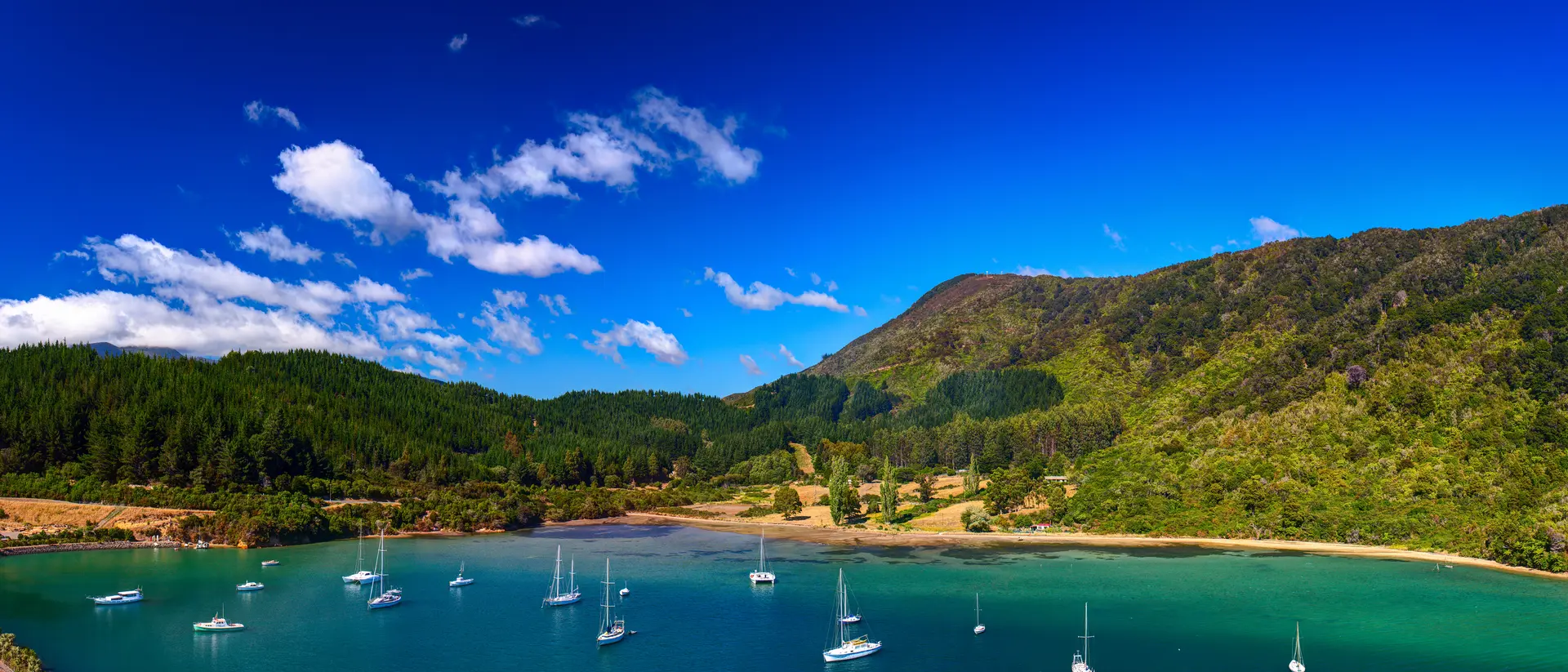 Whatamango Bay Whatamango Bay. Vicinity of Picton town, New Zealand.