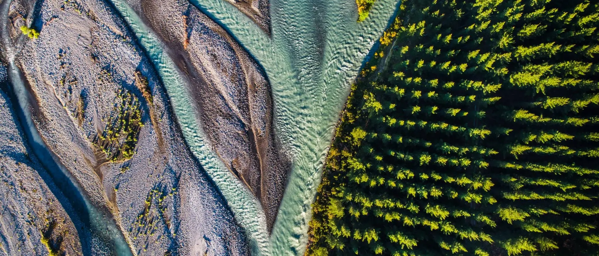 Aerial view where the river meets the forest, Wairau Valley, Wairau River, Marlborough, South Island, New Zealand.