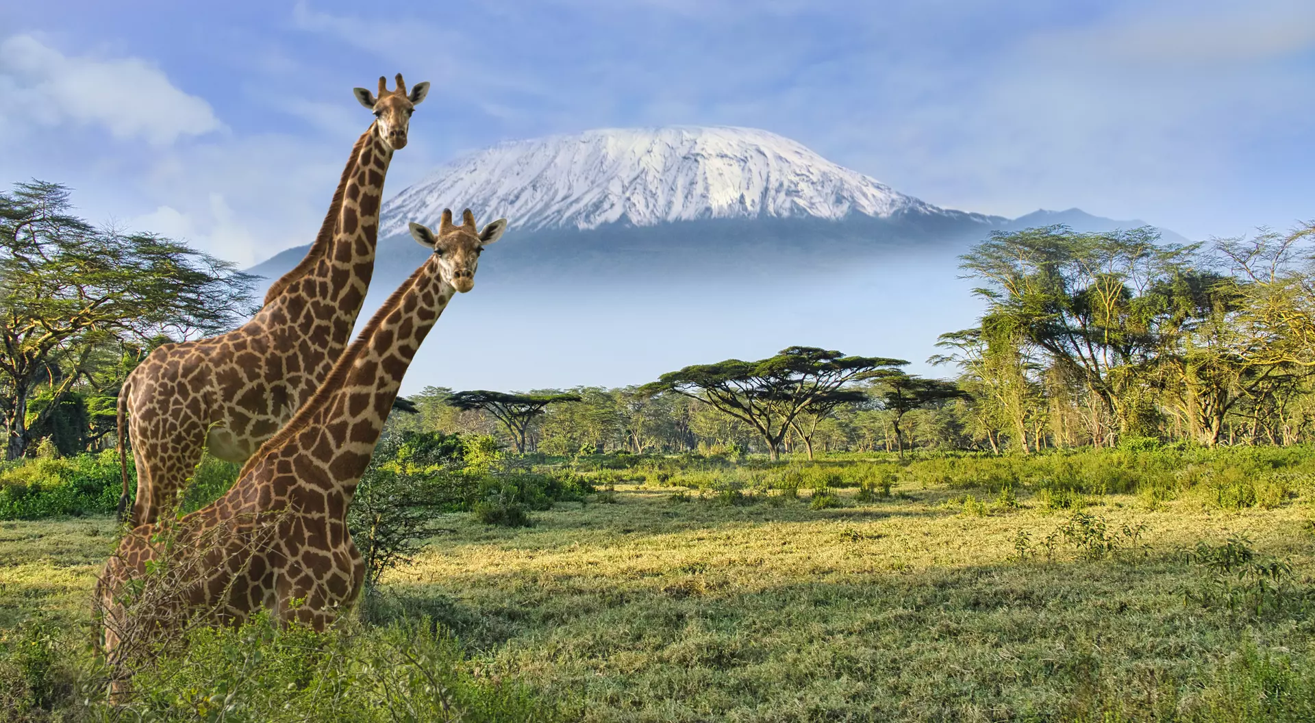 Amboseli National Park