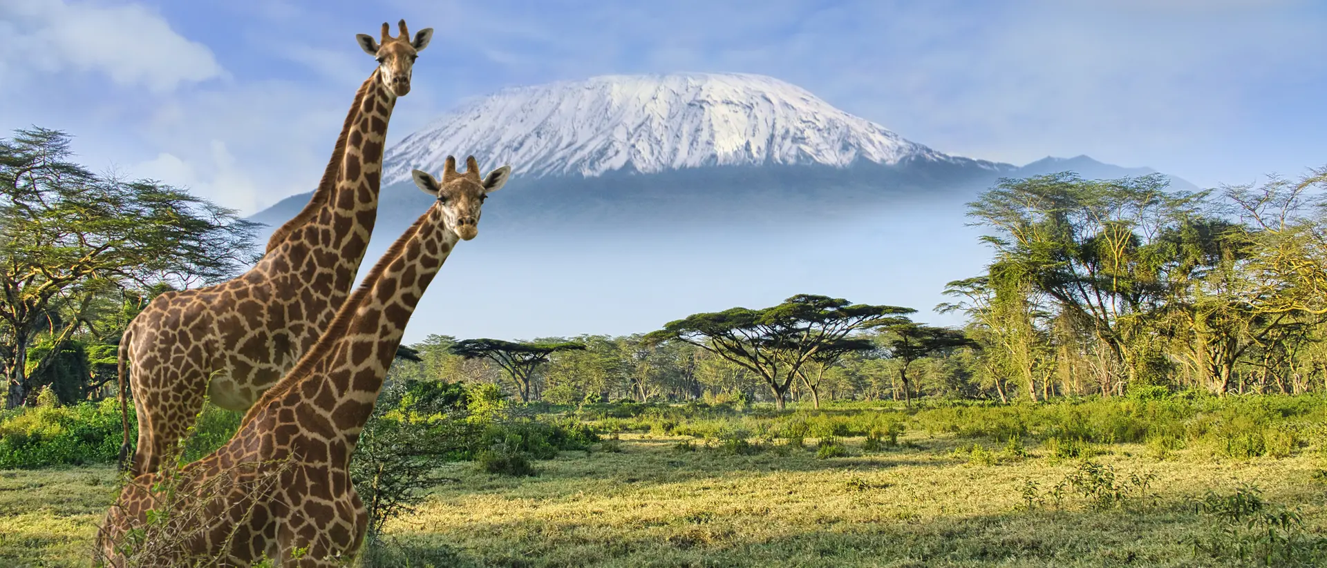 Amboseli National Park Amboseli National Park