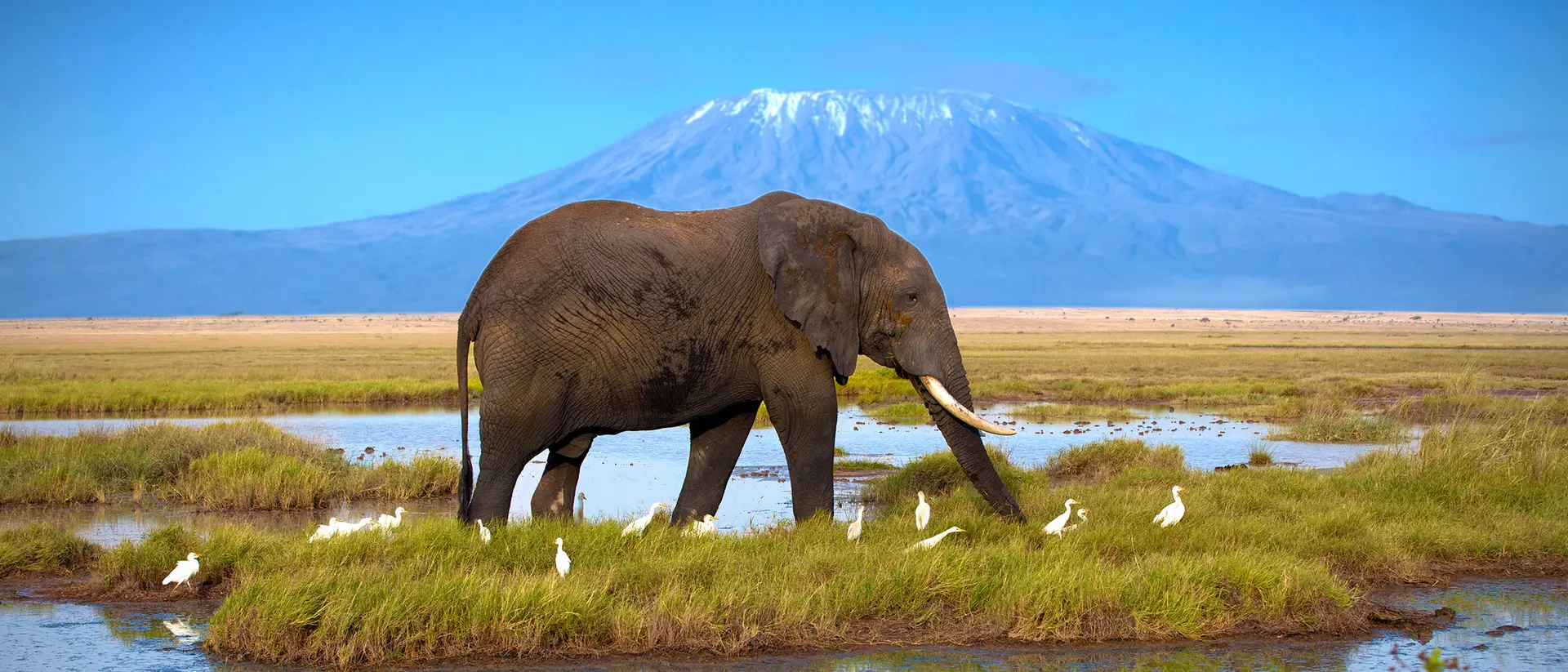 Amboseli Amboseli