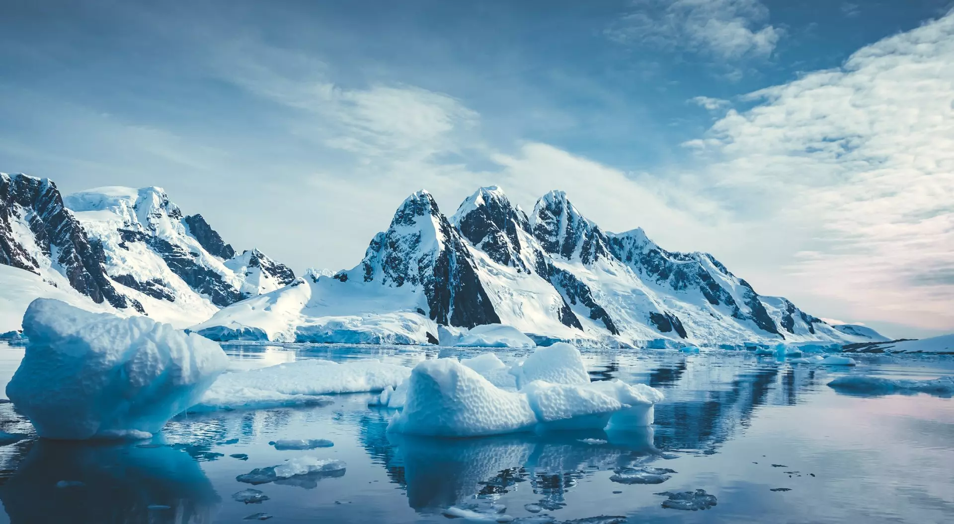 Arctic & Antarctica