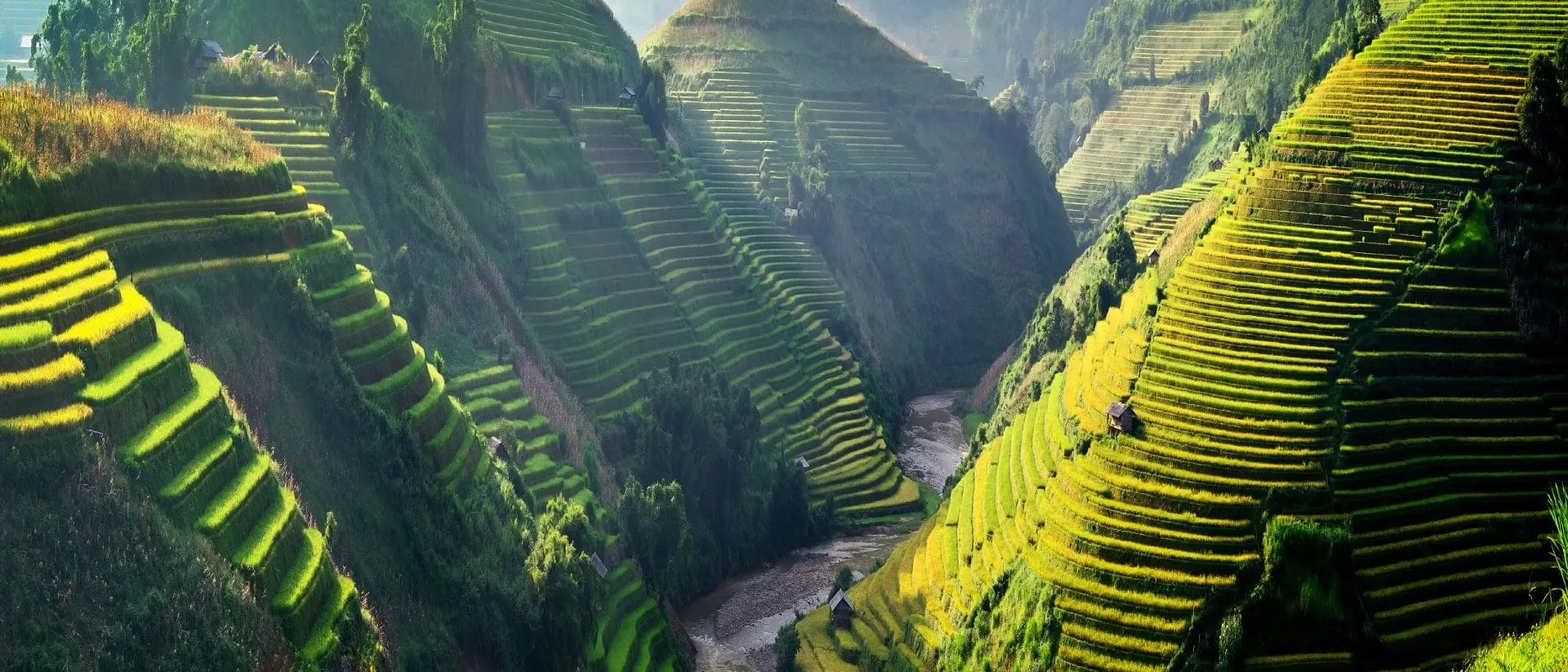 Asia