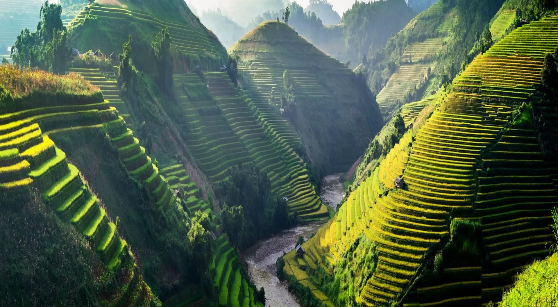 Asia