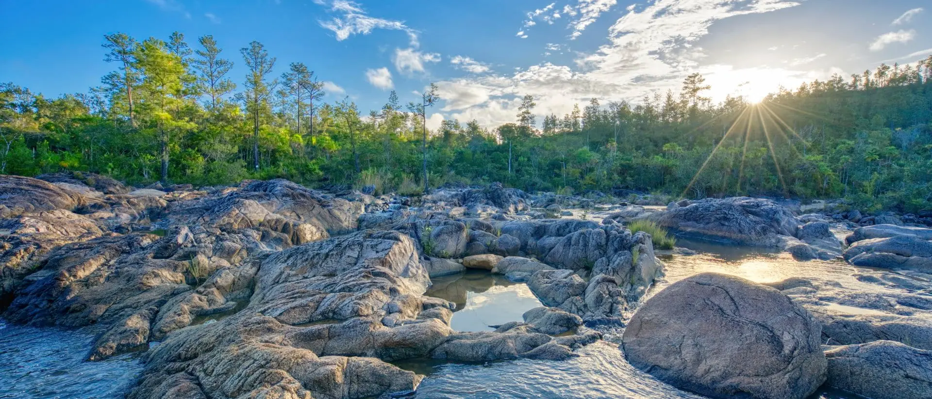 Beautiful river on pools of cascading water with pine trees in the background