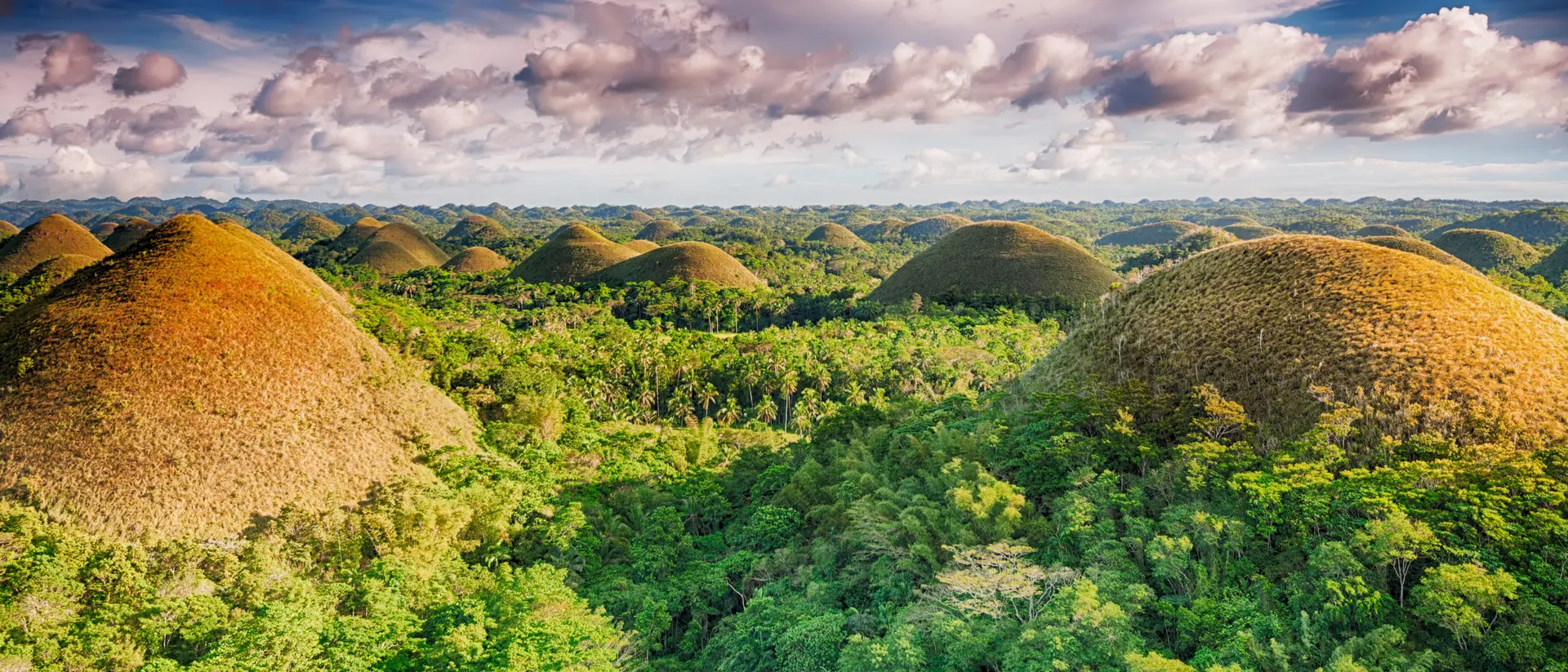 Chocolate Hills Chocolate Hills