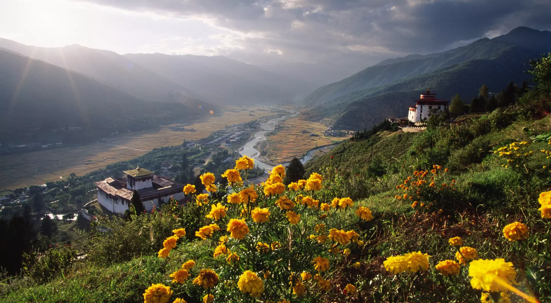 Dark clouds and yellow flowers in Paro Valley along the banks of the Paro Chhu River