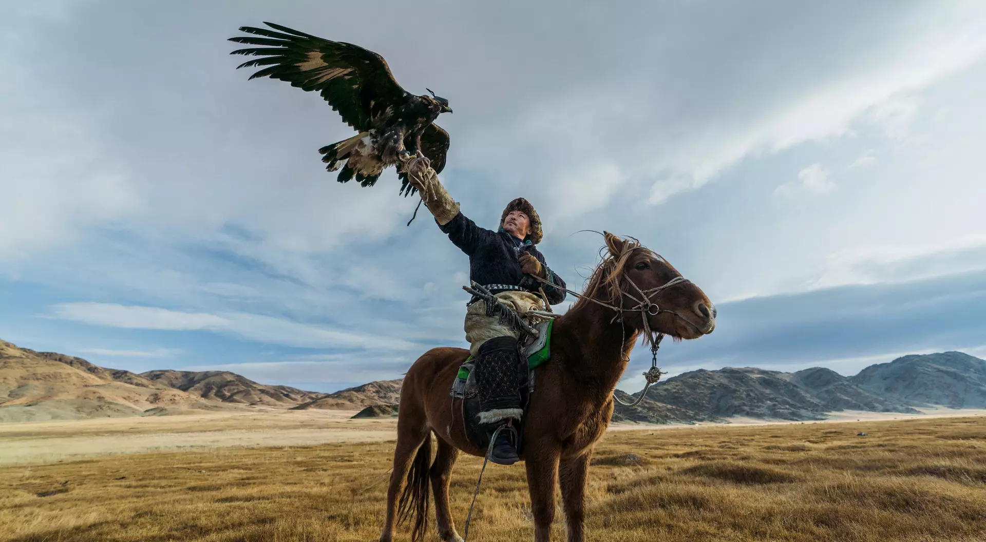 Eagle Hunter, Mongolia Eagle Hunter, Mongolia