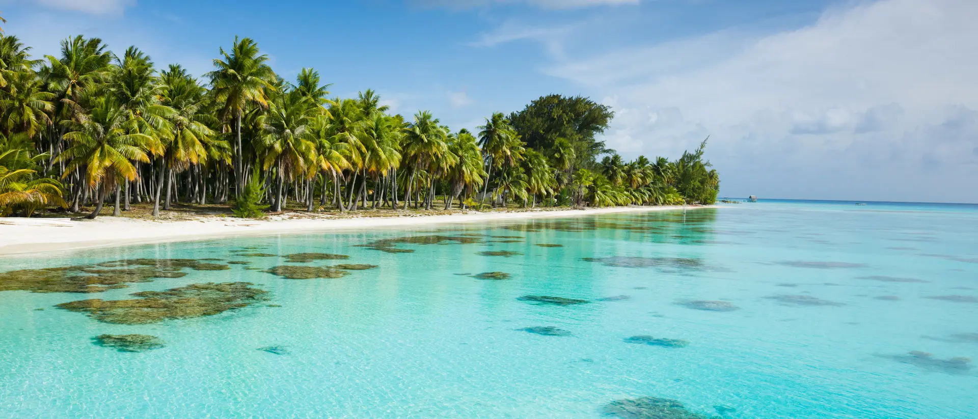 Fakarava French Polynesia