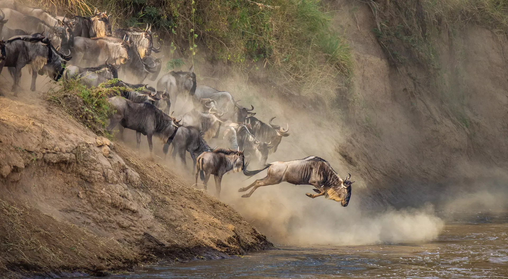 Great Migration, Tanzania Great Migration, Tanzania