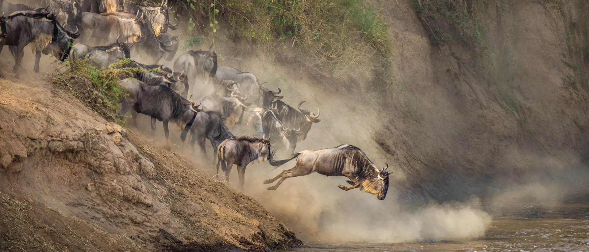 Great Migration, Tanzania