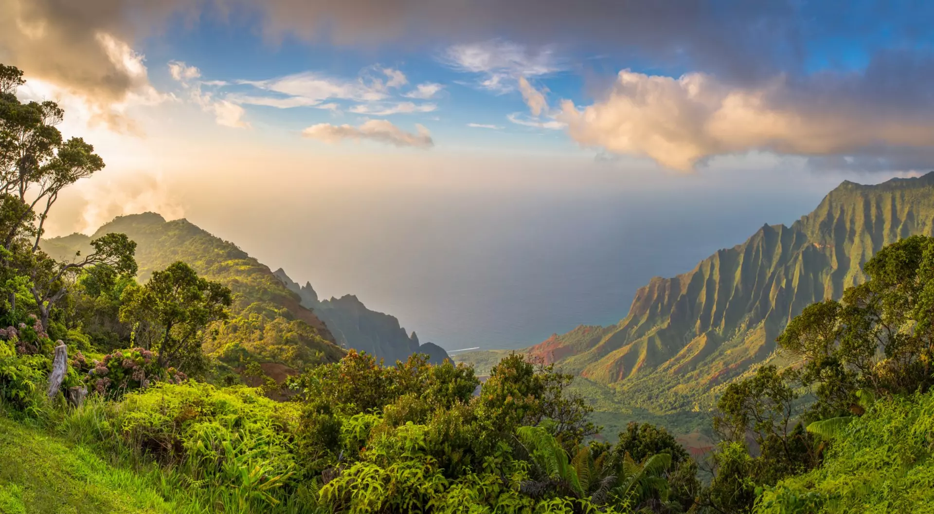 Aerial view over lush green forest and pacific ocean