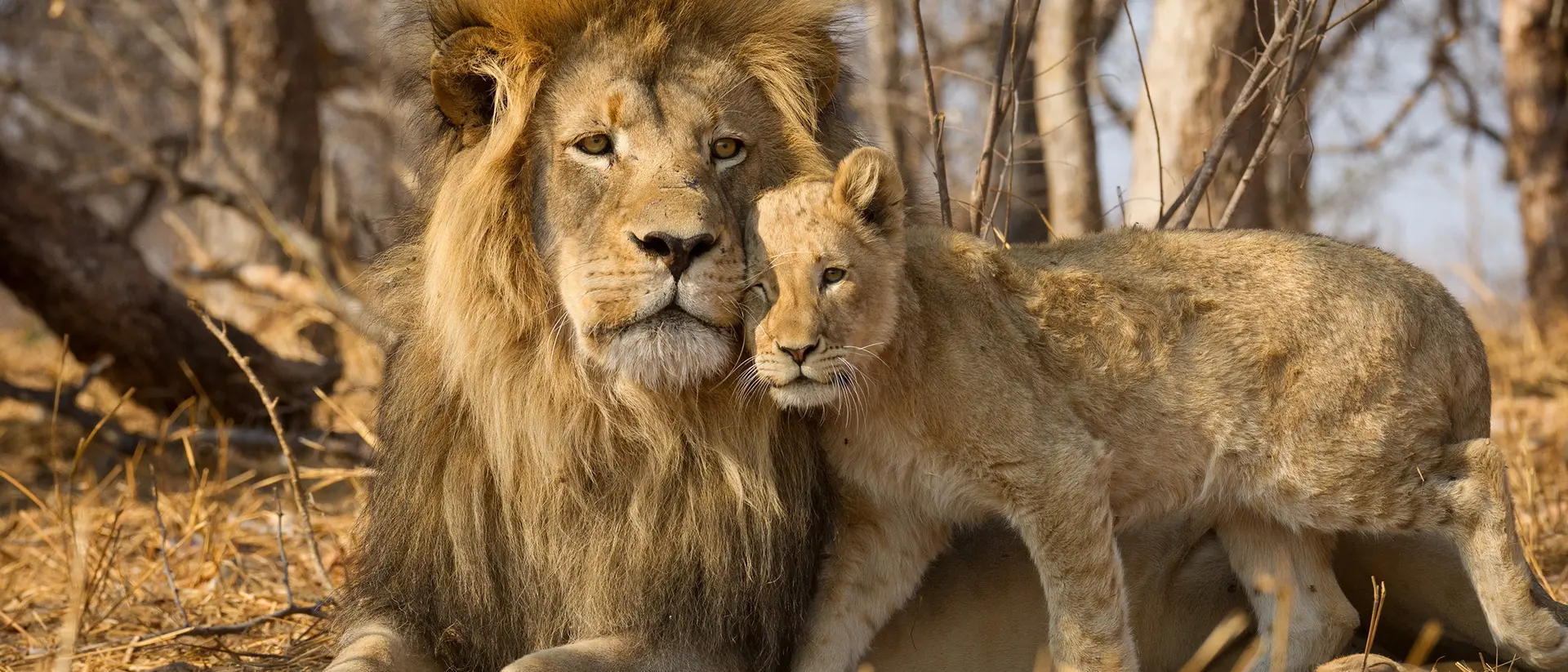 Kruger National Park Kruger National Park