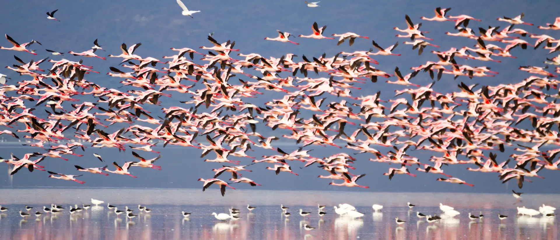 Lake Manyara