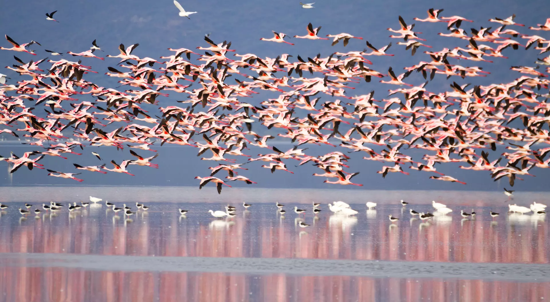 Lake Manyara Lake Manyara