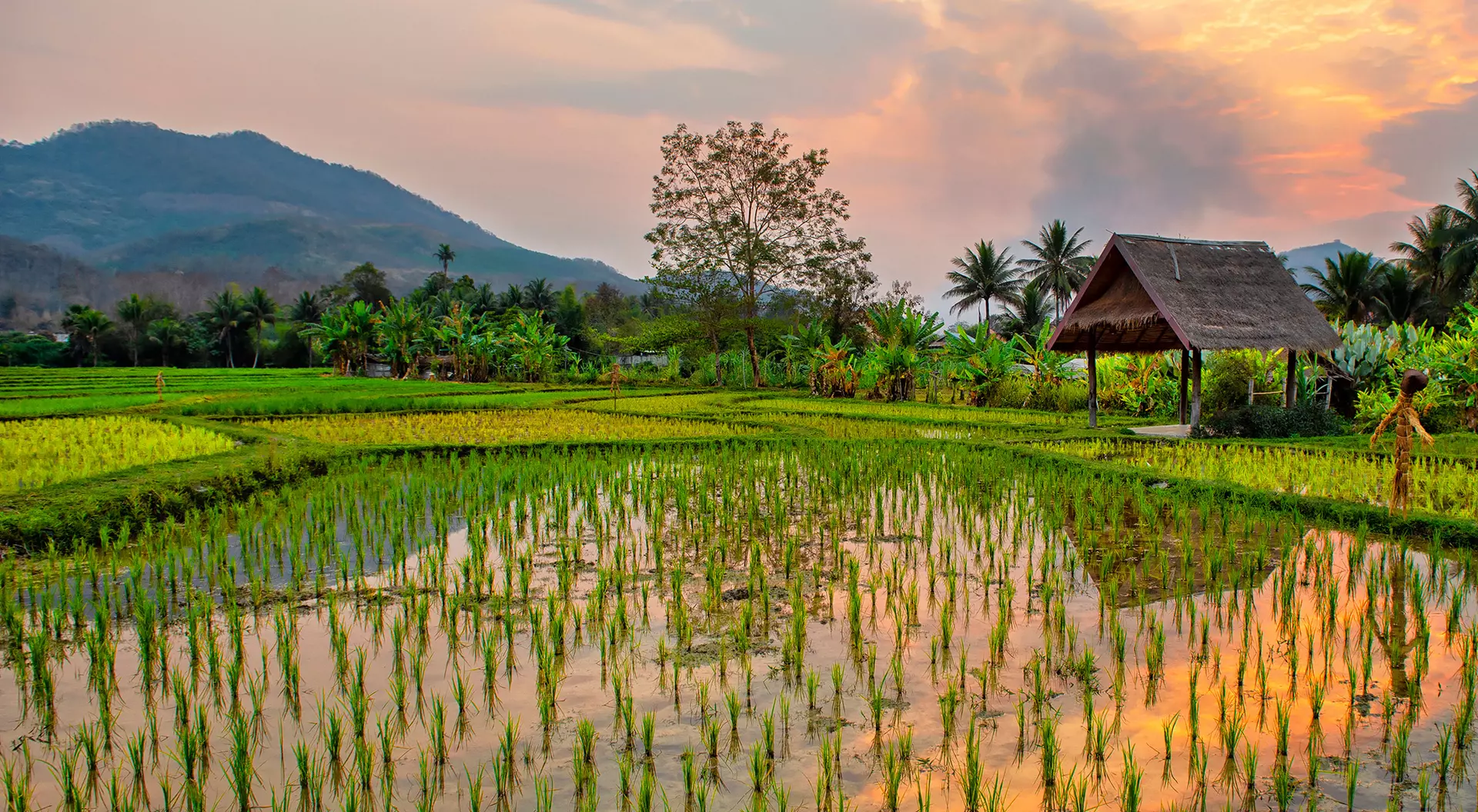 Luang Prabang, Laos