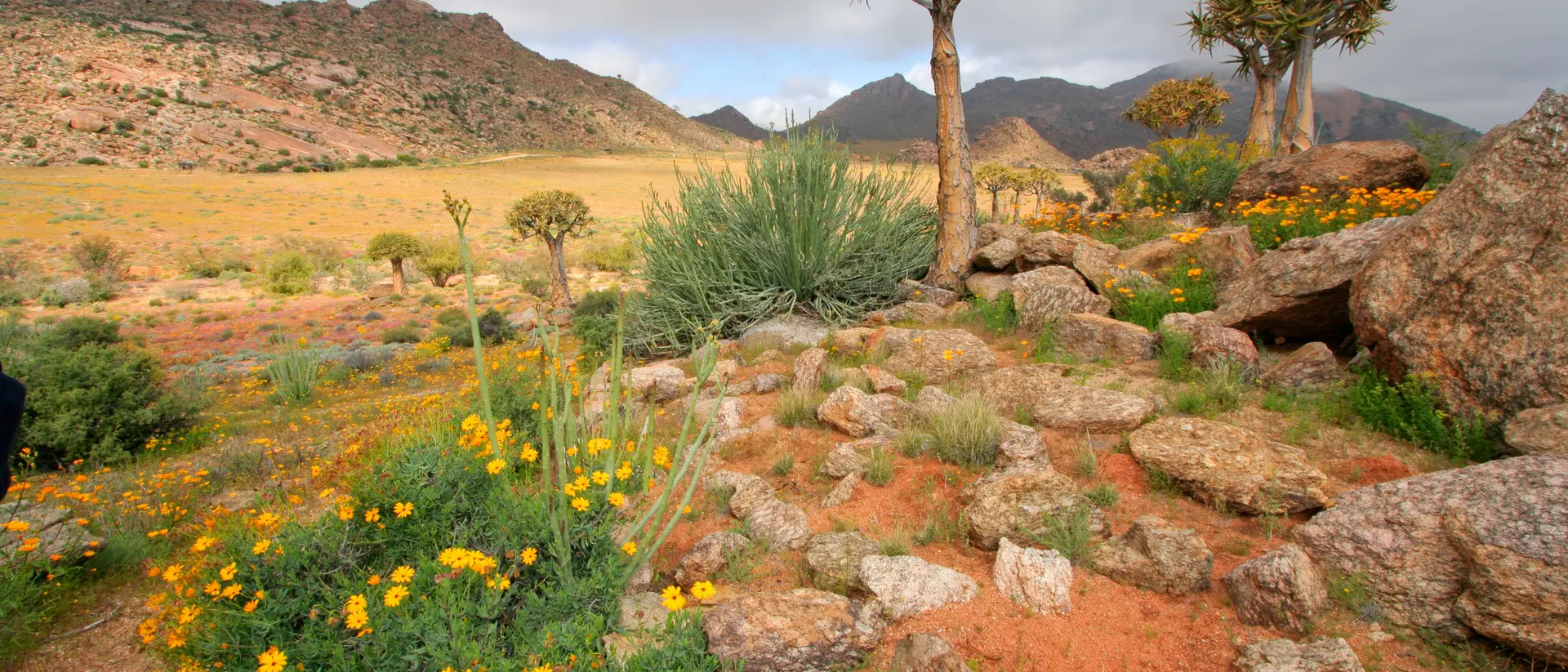 Namaqualand Namaqualand