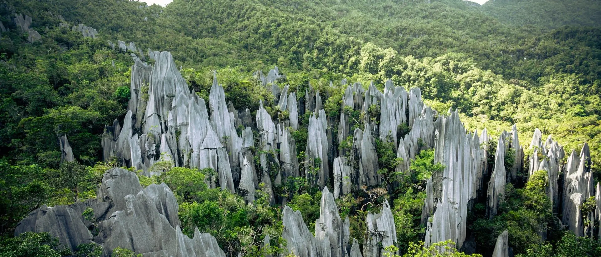 The Pinnacles Rock Formation, Mulu National Park, Sarawak Naturally occuring rock formation in the heart of the jungle