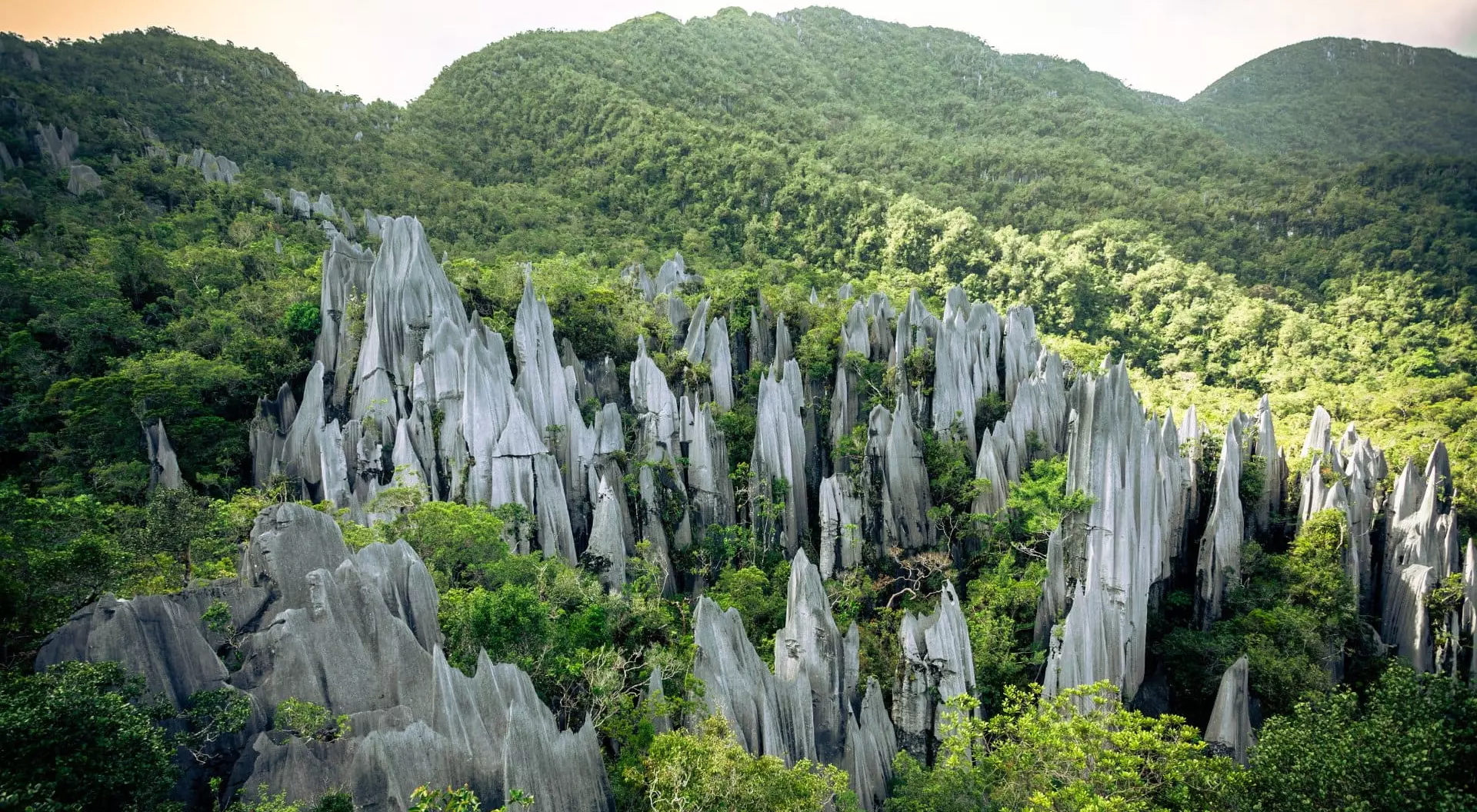 Naturally occuring rock formation in the heart of the jungle