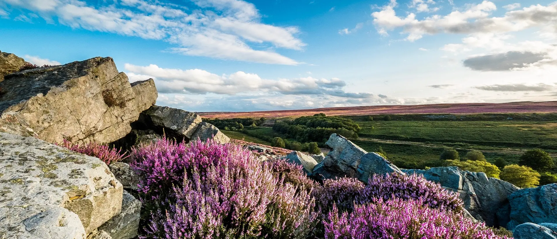 North Yorkshire Moors North Yorkshire Moors