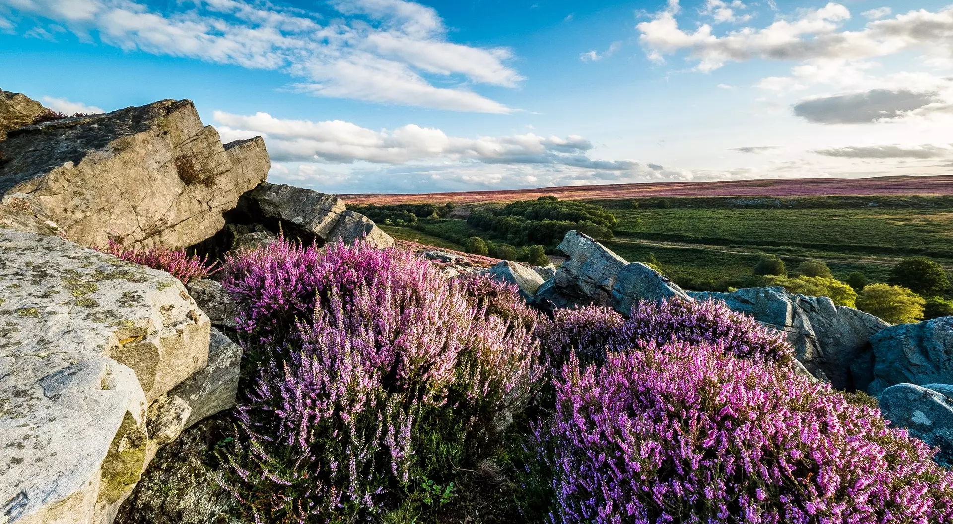 North Yorkshire Moors North Yorkshire Moors