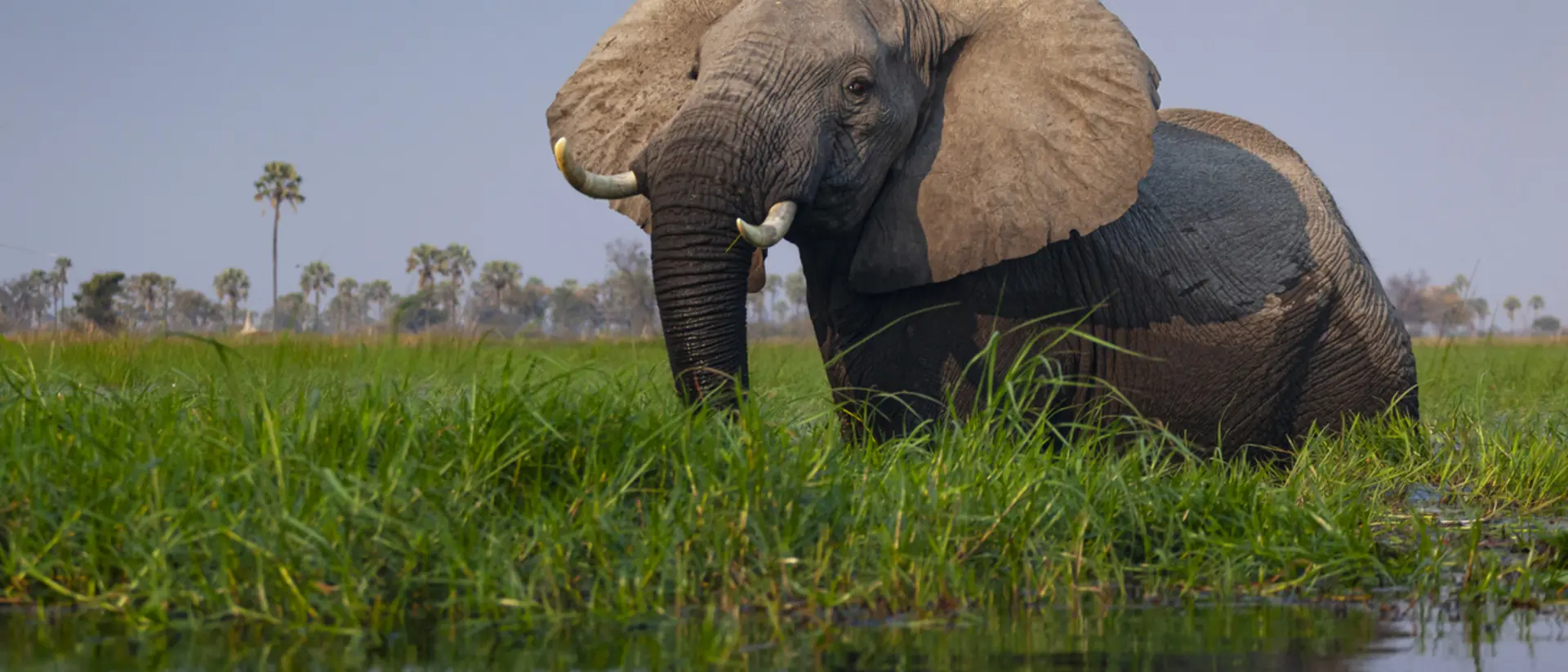 Okavango Delta, Botswana Okavango Delta, Botswana