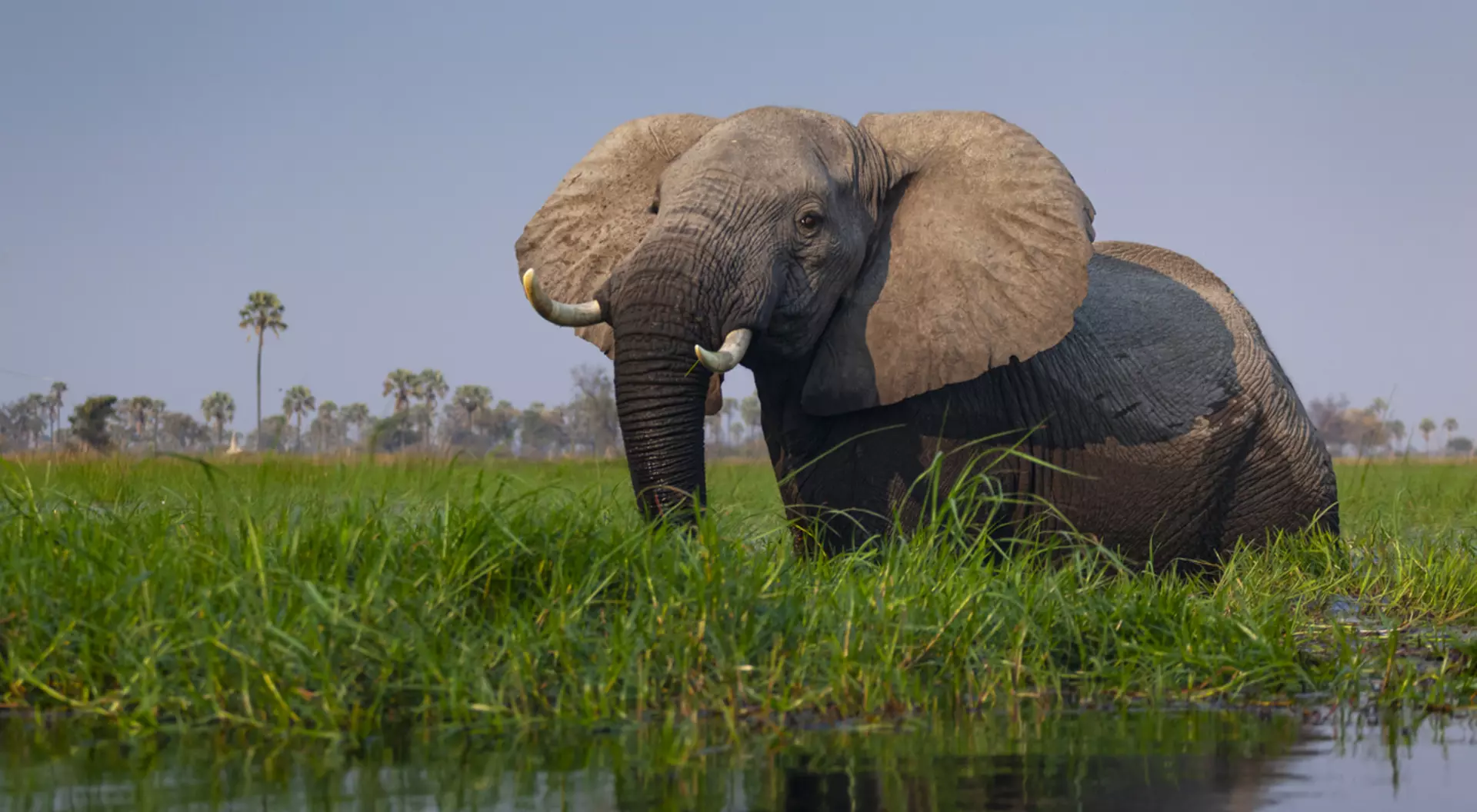 Okavango Delta, Botswana
