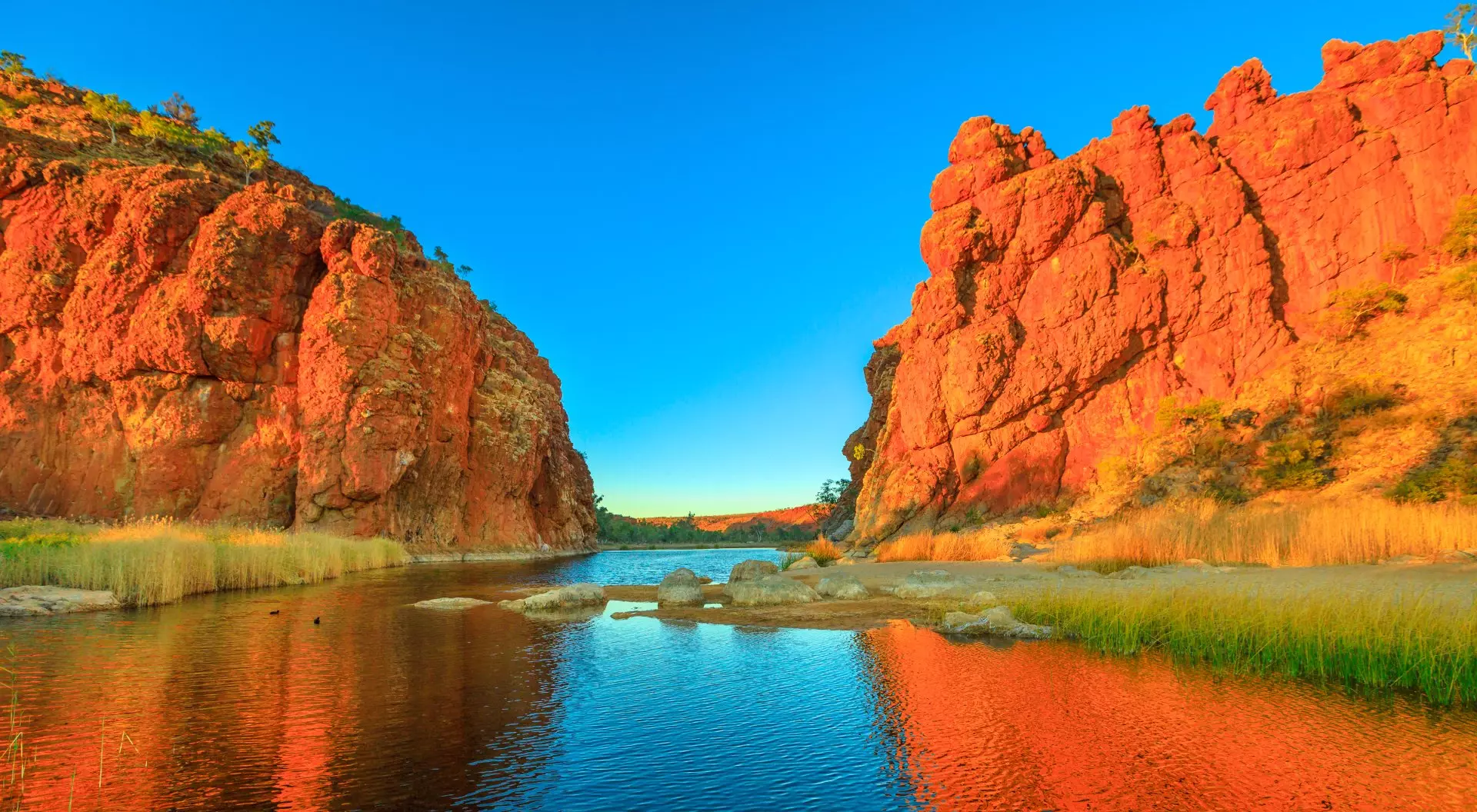 Scenic Glen Helen Gorge in West MacDonnell Ranges changes colours with sunrise light and reflects on waterhole in dry season at sunrise light.