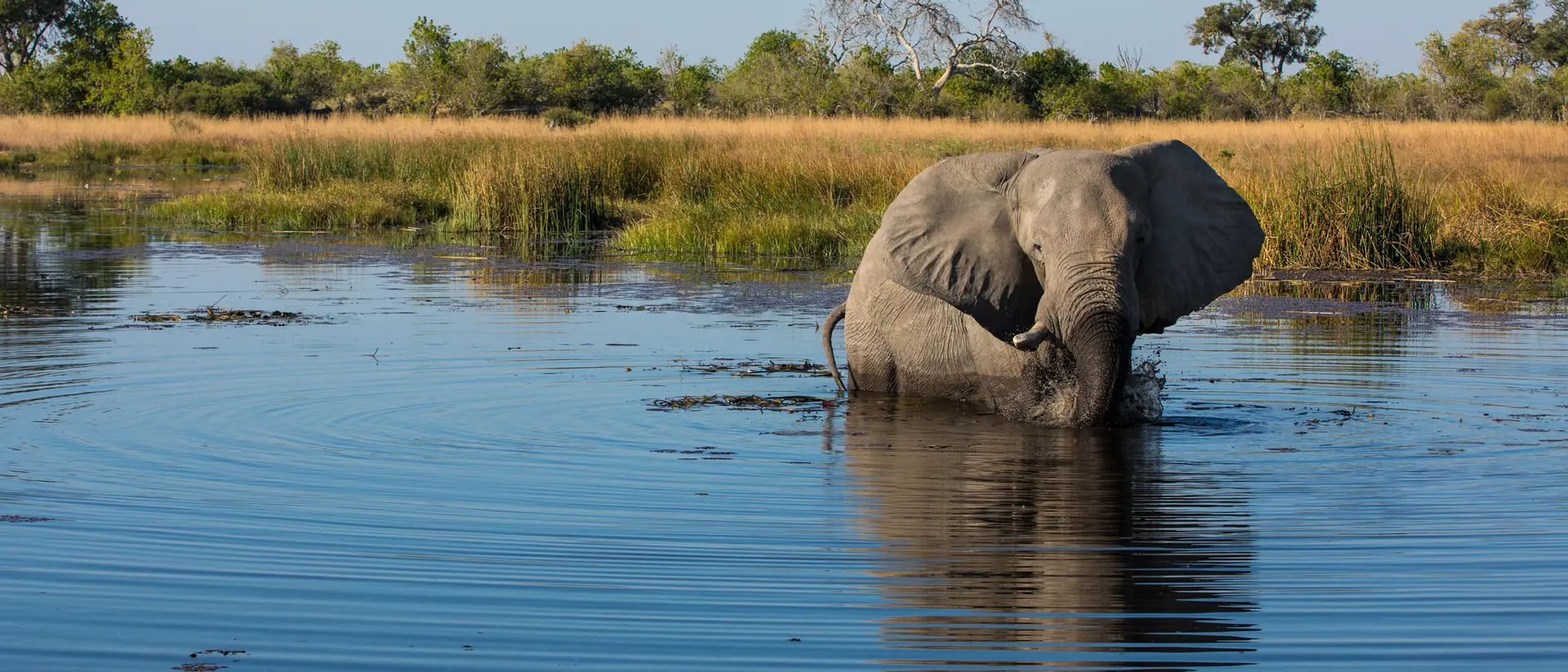 Selinda Reserve