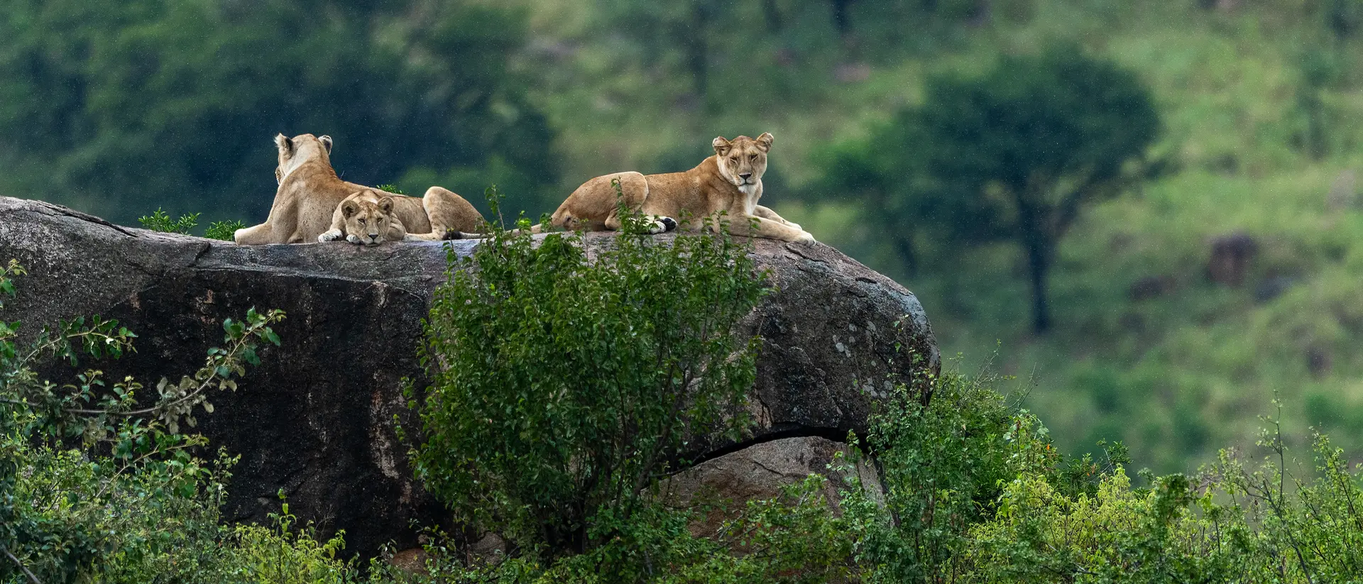 Serengeti National Park