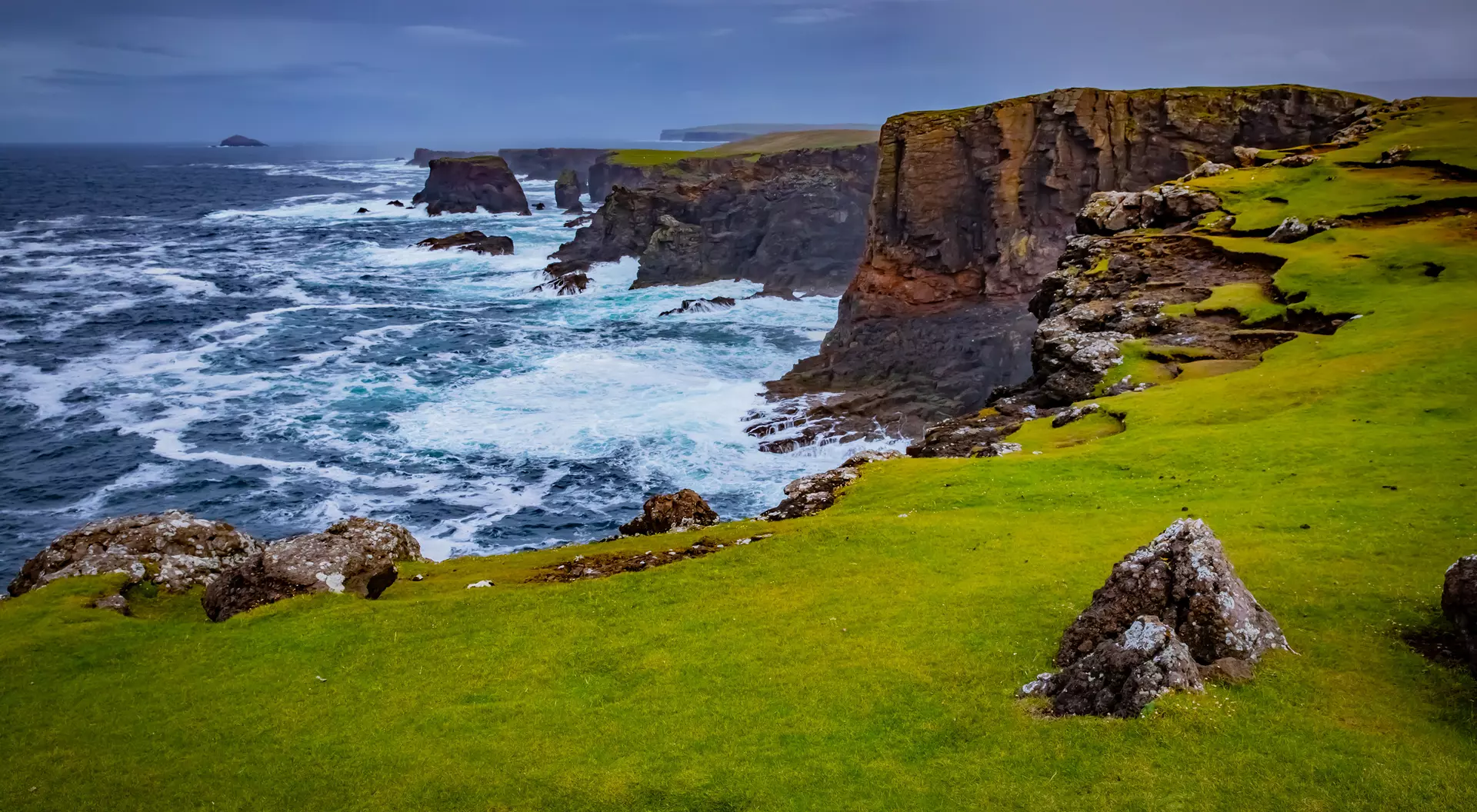 Shetlands