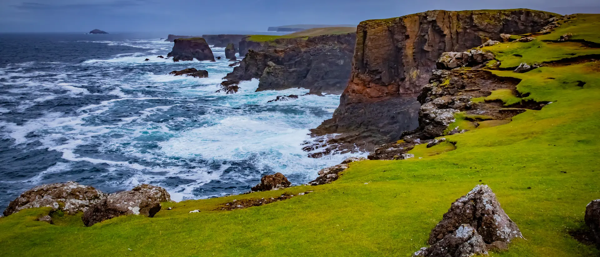Shetlands