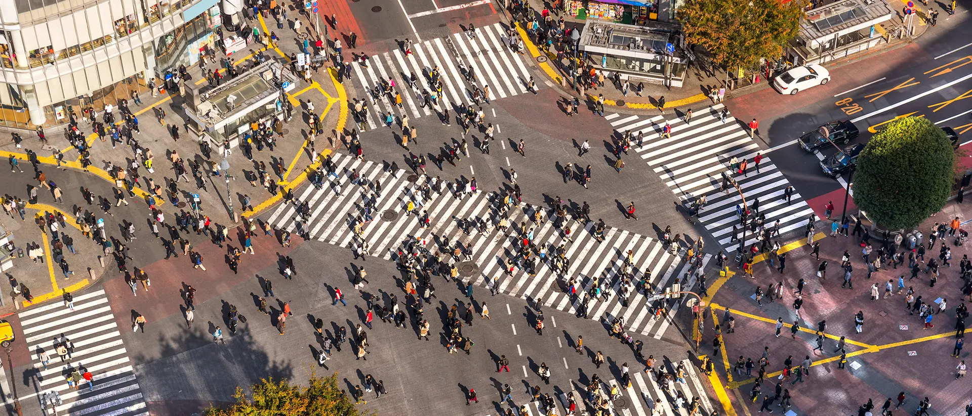 Shibuya Crossing